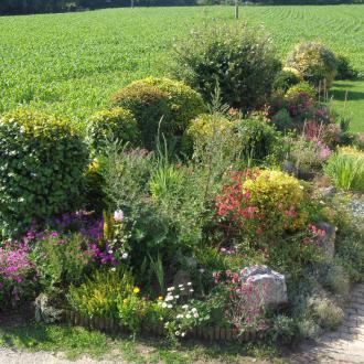 Gite 2-4 personnes : le jardin 