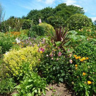Gite 2-4 personnes : le jardin