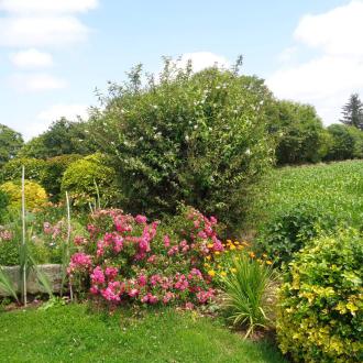 Gite 2-4 personnes : le jardin