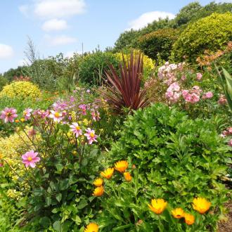 Gite 2-4 personnes : le jardin