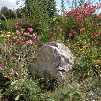 Gite 2-4 personnes : le jardin