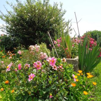 Gite 2-4 personnes : le jardin