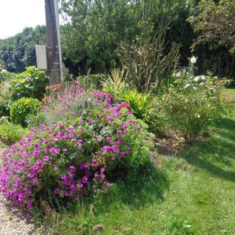 Gite 2-5 personnes : jardin fleuri
